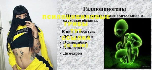 ECSTASY Абдулино