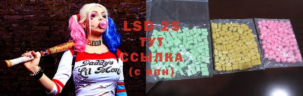 ГАЛЛЮЦИНОГЕННЫЕ ГРИБЫ Арсеньев