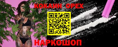мдпв Владимир