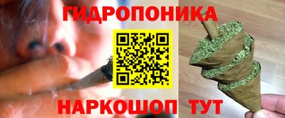 мдпв Владимир