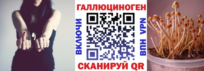 Псилоцибиновые грибы мухоморы Одинцово